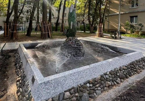 Najpierw sukces, potem sucha fontanna. Po interwencji radnej „Delfin” znów tryska wodą