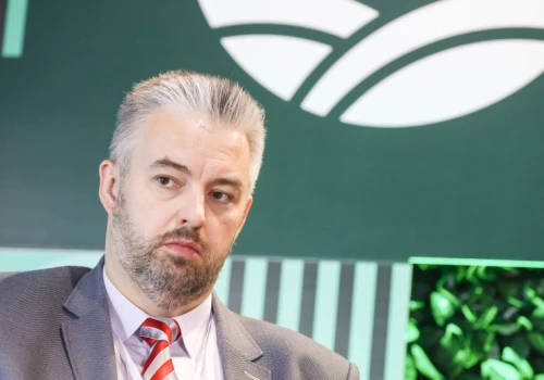Ile wołowiny sprowadziliśmy z krajów Mercosur? Ponad połowa z Brazylii