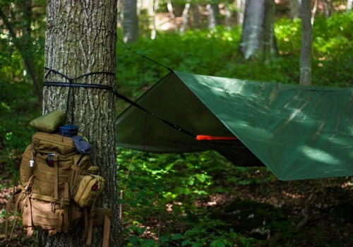 Jak przetrwać trudne czasy? W Bielsku-Białej odbędą się warsztaty survivalu, bushcraftu i prepperingu