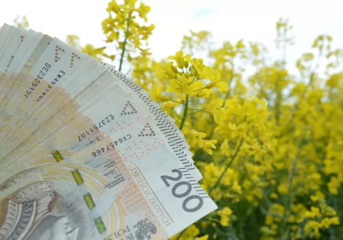 105 tys. rolników z pierwszym przelewem od ARiMR. Trwa wypłata zaliczek dopłat