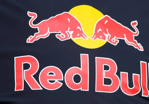 11-latek w Red Bullu! To syn mistrza świata