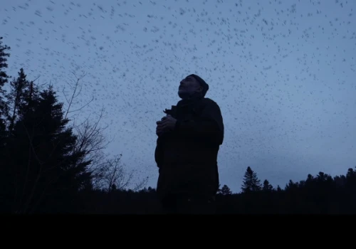 Najlepsze filmy dokumentalne w Multikinie - rusza nowy cykl Millenium Docs Against Gravity