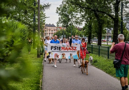 Setki psów przejdą ulicami Krakowa. W sobotę kolejny PsieMarsz