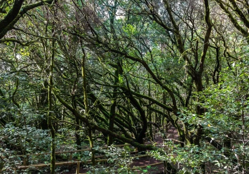 La Gomera wśród najspokojniejszych wysp świata. Gdzie warto wypocząć?