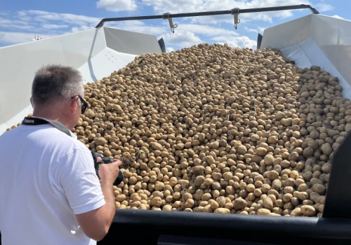 Plantatorzy ziemniaków pod presją kosztów. Kopanie kosztuje 2,5 tys. /ha