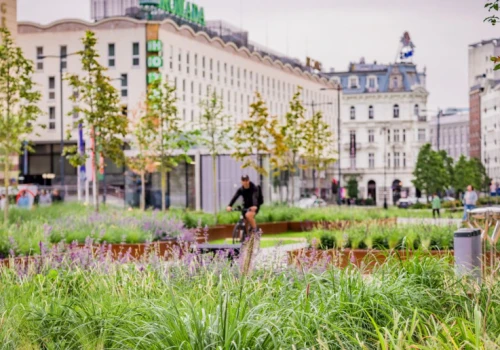 Stworzyli ogród muzyki w centrum Warszawy. Nowe oblicze znanego placu