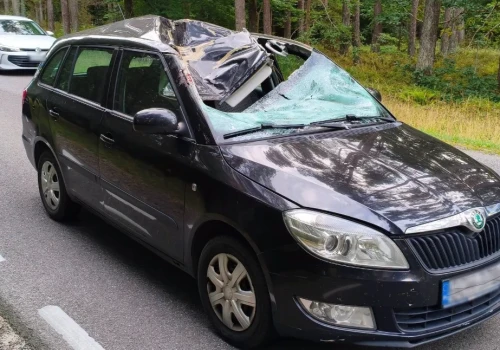 Zderzenie z sarną na trasie Chojnice – Bytów. Dwie osoby trafiły do szpitala