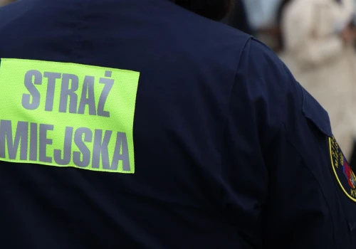 Młody pies wpadł do Wilgi. Jego smycz zaplątała się w konary
