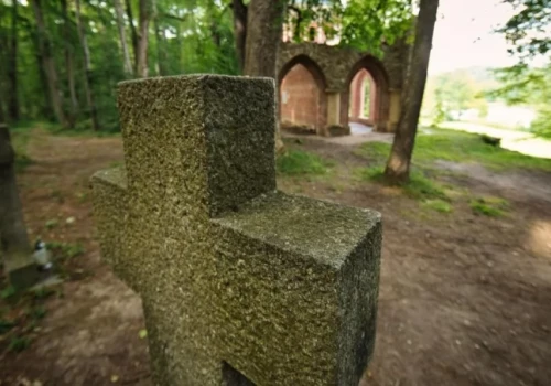 Uciec z Wrocławia na jeden dzień? Może tam, gdzie jest 120 hektarów romantycznych alejek