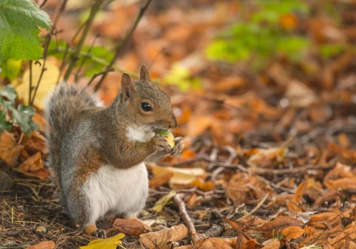 Gdzie jest Bóg w zagubionym świecie? (13) – Natura – znakiem miłości Boga