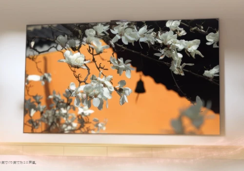 Ten telewizor ma 4K, RGB-MiniLED i aż 300 Hz. HUAWEI mocno podkręcił obraz, ale nie cenę