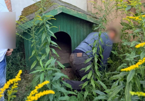 Ukrył się w budzie dla psa. Na jego posesji znaleziono kradzione samochody
