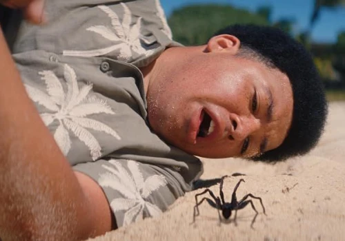 Spider Island