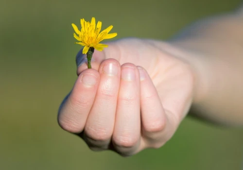 Gdzie jest Bóg w zagubionym świecie? (14) – Wdzięczność – pamięcią serca