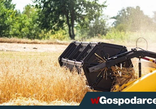Nie tylko paliwa. Drożeje szybko także żywność!