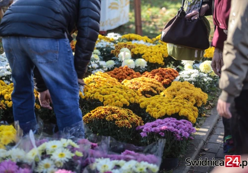 Ruszyły zapisy na miejsca do handlu zniczami i kwiatami przy cmentarzach
