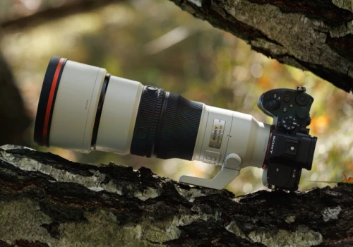 Sony FE 400 mm f/4.5 GM OSS - test praktyczny i zdjęcia przykładowe