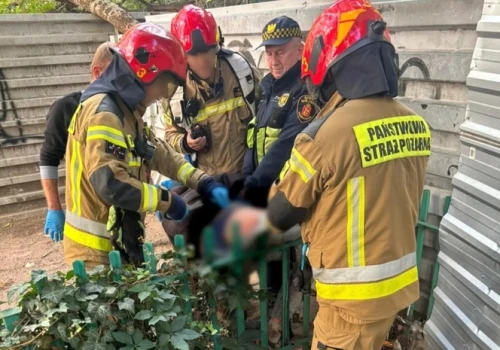 Śródmieście. Nadział się na metalowe ogrodzenie i trafił do szpitala. Usunięcie przęsła musiało się tam odbyć
