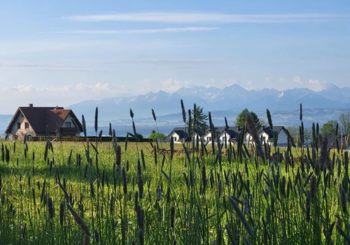 Kupiłeś działkę? Złóż ten wniosek od razu. Na prąd czeka się nawet 2 lata