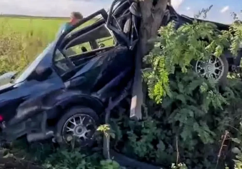 Honda wbiła się w drzewo. Co z kierowcą?