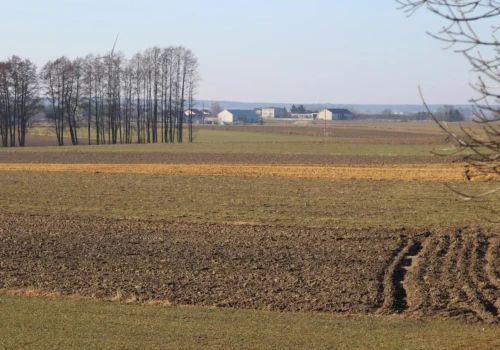 ARiMR nie powinna odbierać całości dopłat! Jest opinia rzecznik generalnej TSUE! To sygnał dla setek rolników!