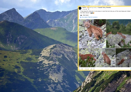 Wyjątkowe spotkanie w Tatarach. "Nie da się zapomnieć przez całe życie"