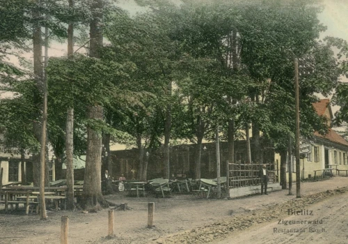 Cygański Las. Historia jednej z najpiękniejszych części Bielska-Białej