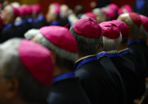 Papież: biskupi przemijają, Kościół żyje z Pana