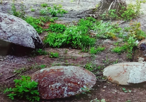 Pokaż magię powiatu starachowickiego