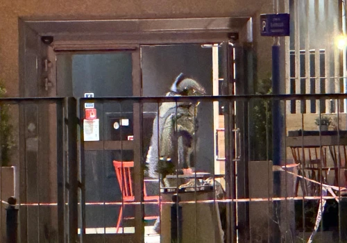 Pozostawiony, zaplombowany plecak uruchomił działania służb. Policjanci zatrzymali 23-latka