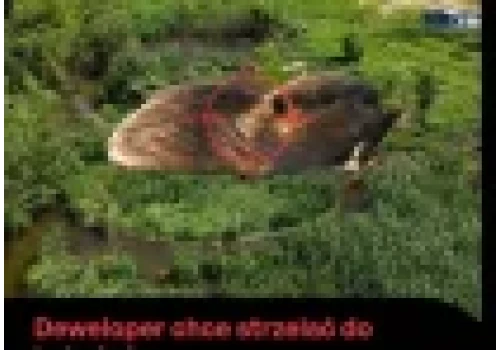 Deweloper chce wystrzelać bobry