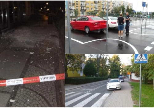 Zadymienie zauważone przez monitoring, niesegregowanie odpadów na działkach i bezdomny z rozbitą głową. Interwencje straży miejskiej