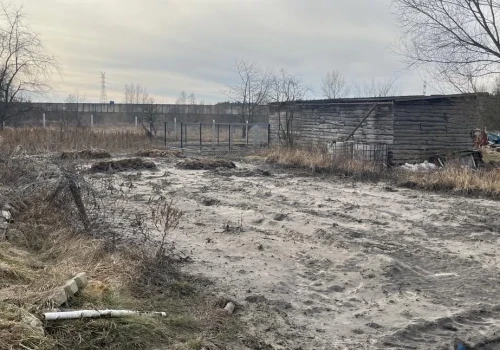 Zalana ściekami działka w Jeleniu. Sprawa trafiła do prokuratury