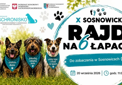 Sosnowicki Rajd na Sześciu Łapach - razem dla zwierząt