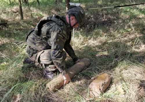 Las skrywał arsenał z czasów wojny. W Borowie znaleziono kolejnych 341 niewybuchów