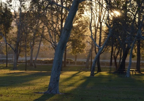 Park w Pawłosiowie zostanie przebudowany. Plan obejmuje wiele nowych atrakcji