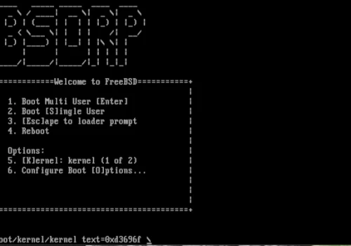 BSD Router Project 2.3