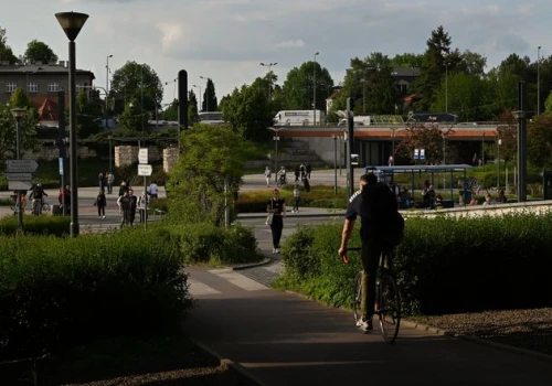 Strefy czystego transportu a zdrowie dzieci. Znamy wyniki pięcioletniego badania z Londynu