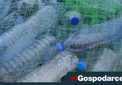 Bakterie nauczyły się trawić... plastik