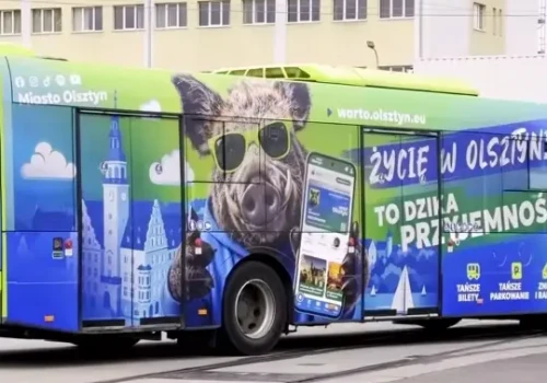 Dziki Autobus w Olsztynie! Sprawdź, na których liniach go spotkasz