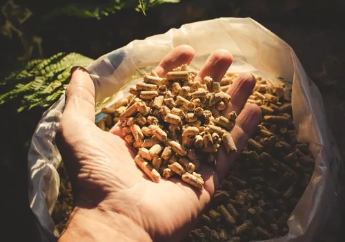 Pellet iglasty czy liściasty? Test pokazał, co dzieje się w kotle