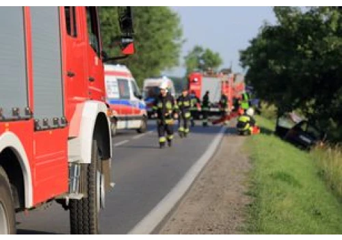 Wypadek na obwodnicy Gostynia. Sarna wpadła do wnętrza samochodu
