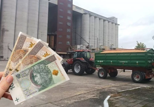 Pszenica podrożała nawet o 100 zł/t. Sprawdzamy ceny zbóż i rzepaku