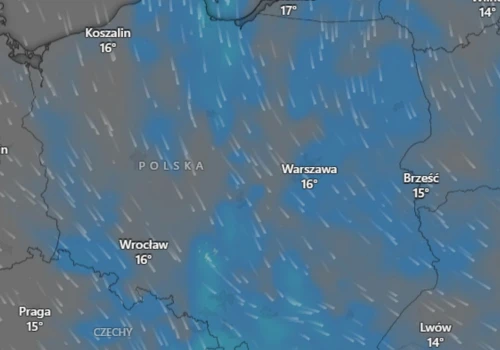 IMGW prognozuje deszcz, burze i silny wiatr. Porywy osiągną nawet 80 km/h