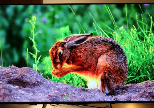 Recenzja Haier H55S90GUX. TV, który chce być dobry we wszystkim