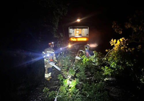 Szynobus uderzył w drzewo leżące na torach