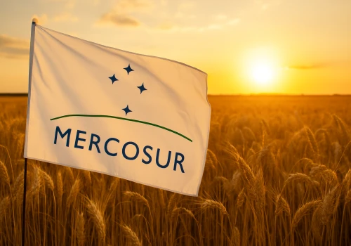 Mercosur a Rolnictwo: Fakty i Mity