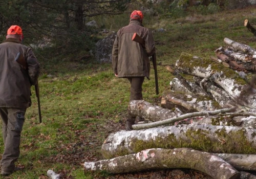 Plan polowań na terenie gminy Nasielsk