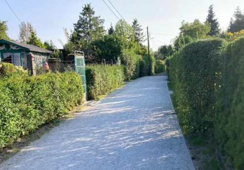 Ogródki w centrum Katowic mogą zyskać nową nawierzchnię. Tędy chodzą nie tylko działkowicze