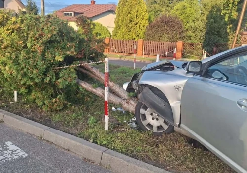 Uciekał przed policją, zatrzymały go tuje